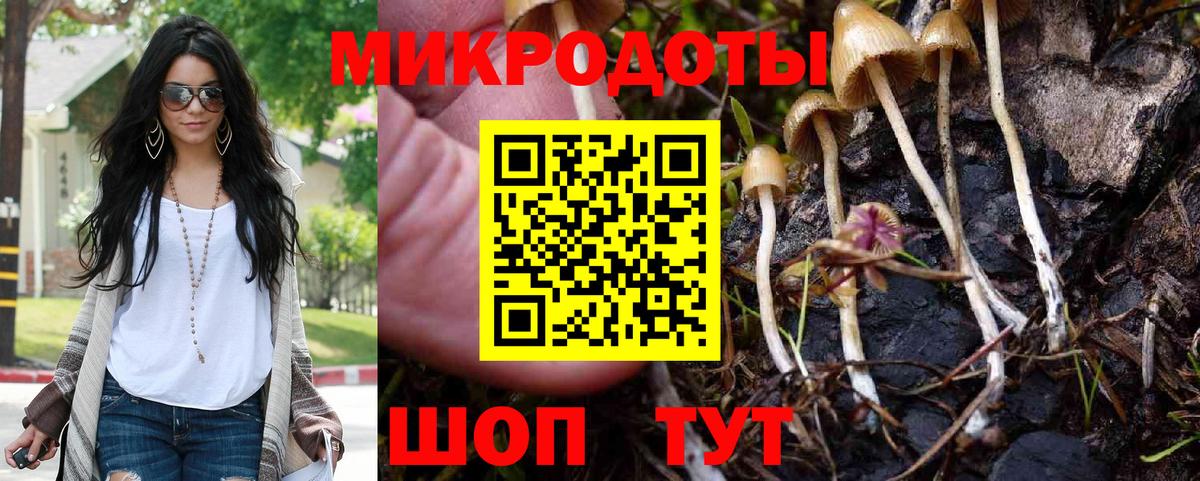 Псилоцибиновые грибы Cubensis Краснознаменск