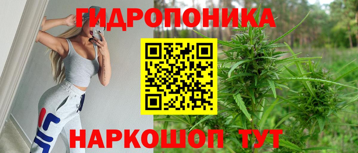 Каннабис SATIVA & INDICA Краснознаменск