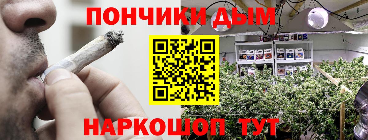Конопля VHQ  Марихуана конопля  Краснознаменск  Вход с VPN  Канабис MAZAR 